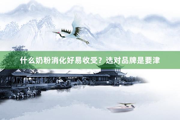 什么奶粉消化好易收受？选对品牌是要津
