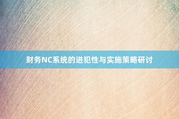 财务NC系统的进犯性与实施策略研讨