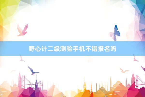 野心计二级测验手机不错报名吗