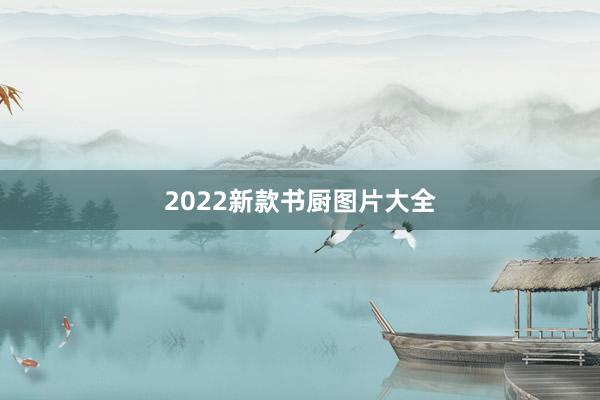 2022新款书厨图片大全