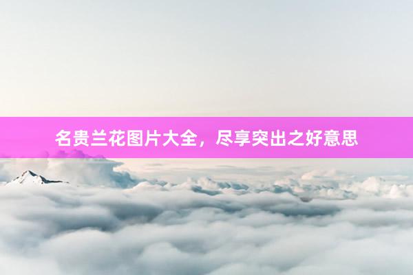 名贵兰花图片大全，尽享突出之好意思